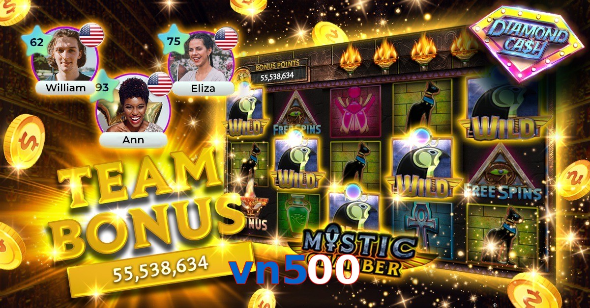 vn500